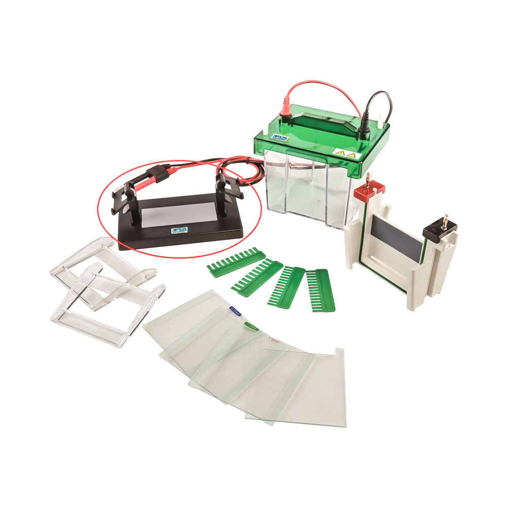 Vertical Gel Electrophoresis System