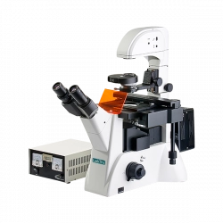 Inverted Fluorescence Microscope